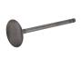 View Engine Intake Valve Full-Sized Product Image 1 of 10